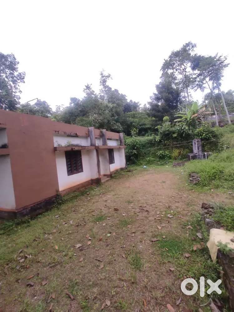 House for rent in affordable price , well maintained, 3 bedroom,