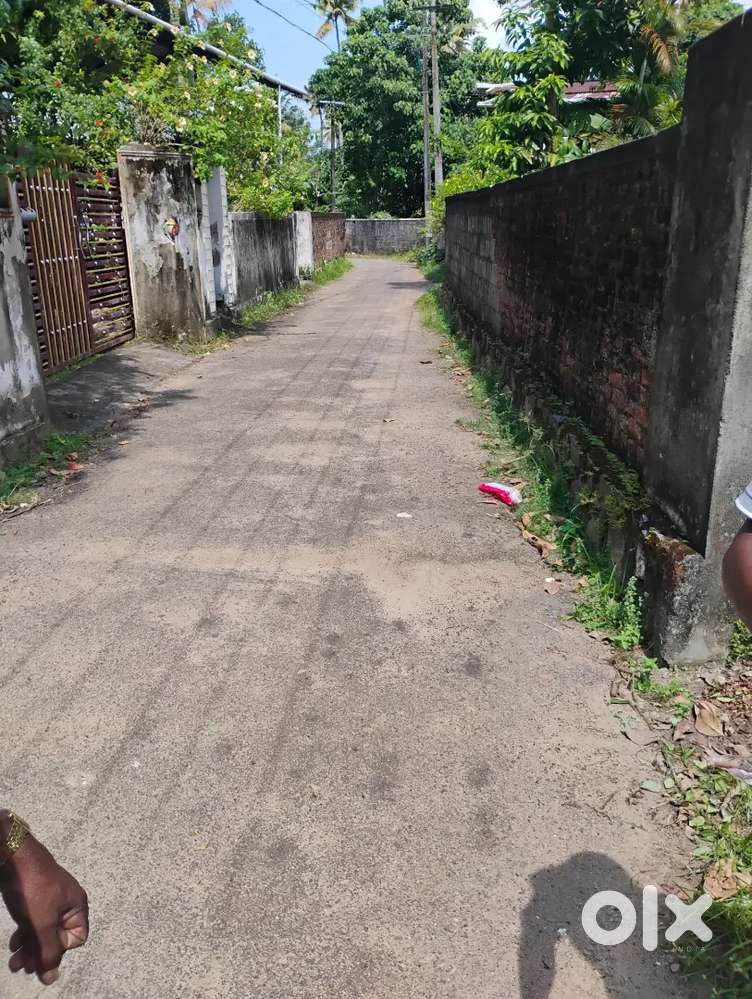 MINAPPALAM  MAENRODU 22  SENT VILPANAYIKK