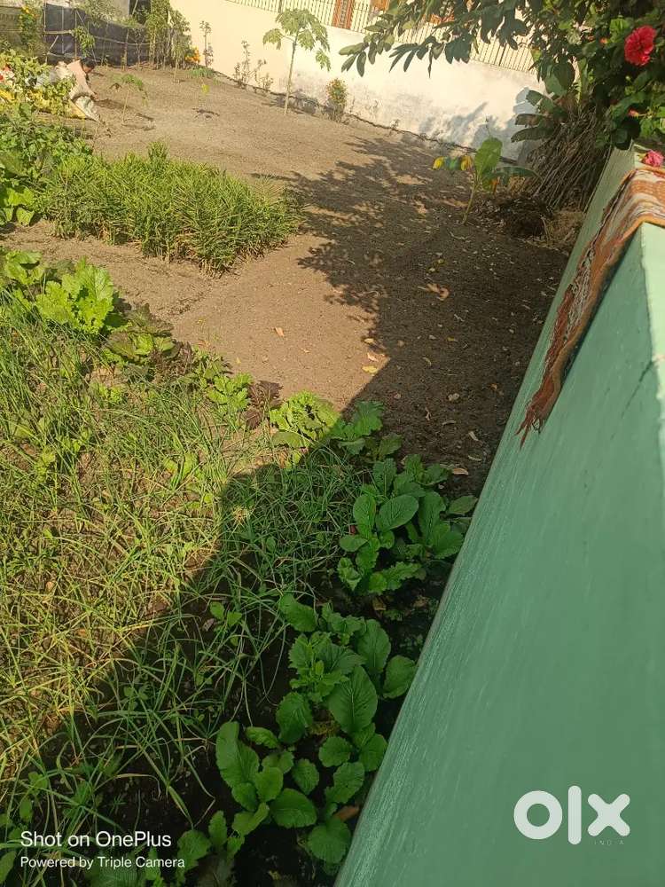 1800 वर्ग मीटर प्लॉट बिकाऊ है किच्छा देवरिया टोल प्लाजा के पास
