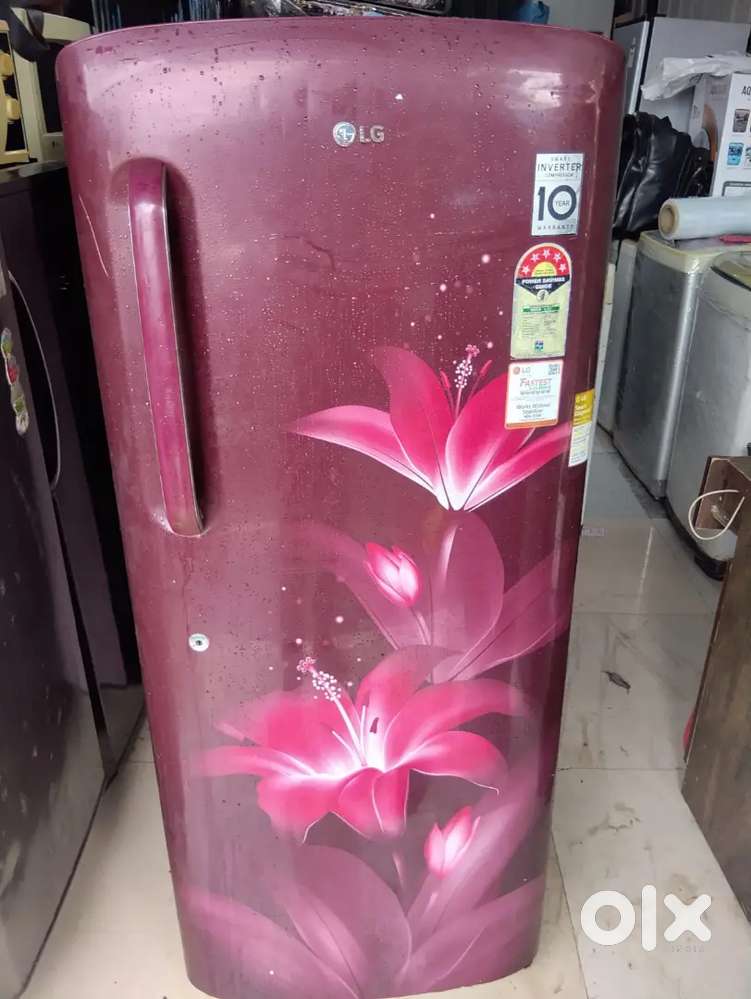 Fridge no washing machine no water purifier no sofa set no double bed