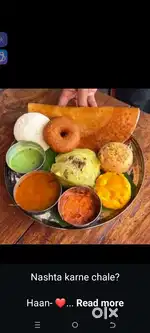 Cook for canteen