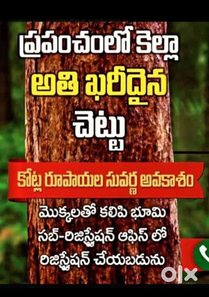 25 సెంట్లు 150 అంకణం స్థలంలో  100 శ్రీ గంధం మొక్కలతో కేవలం..  850000/