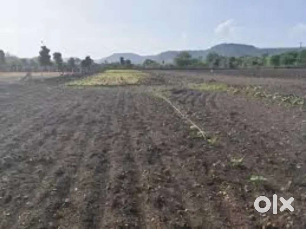 Agriculture land for sell in 217,800 square feet