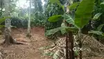 20 Cents Prime Land for Sale in Trivandrum 20L per cent
