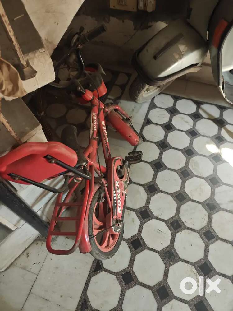 Kids bike boxer