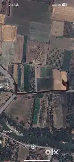 Land for sale price will be negotiable
