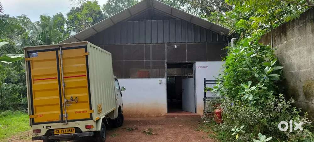 Sales cum Driver for a Bread Distribution