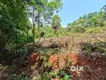Land for sale 67 cent