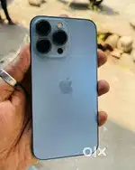 iPhone 13 pro second hand model at genuine price in your budget