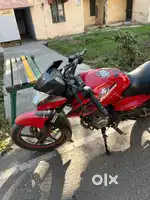 Plusar 135 LS