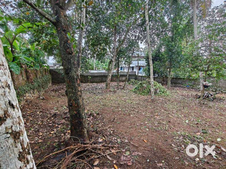 PONGAMOODU RESIDENTIAL PLOT – AVAILABLE AS 9.45 CENTS OR TWO 4.6-CENT