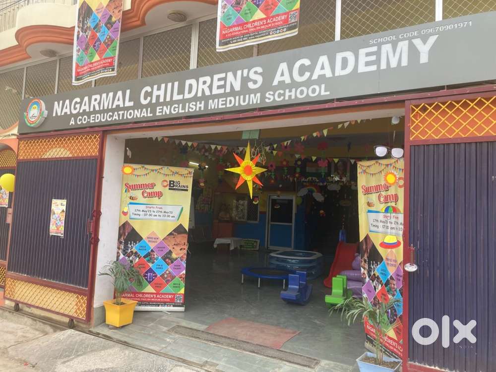 Math and computer teacher for primary classes