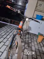Bicycle with dual disc brakes