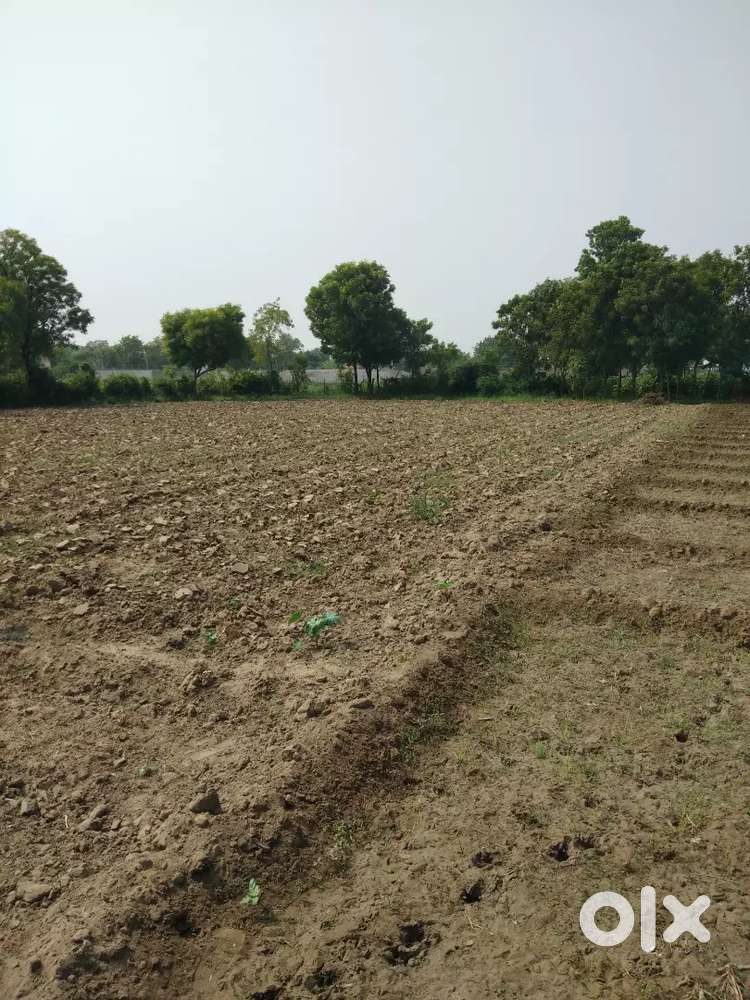 pani ni suvidha vali industry ane kheti layak road toch jagya gnptpura