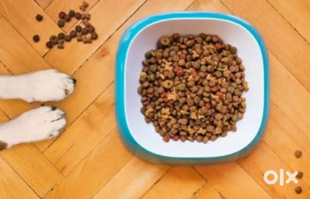 All pet food available discount price