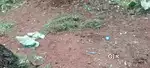 4 cent Plot for sale in Thrissur kottappuram