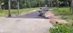 മാവേലിക്കര ഓലകെട്ടി റോഡ് കളത്തട്ട് ജംഗ്ഷനില്‍ നിന്നും പടിഞ്ഞാറ്