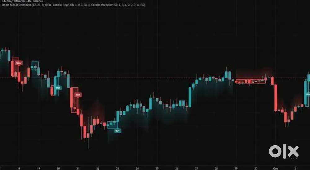 Stock Market Trader Required