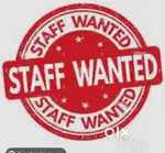 CBD belapur, helper, cook, chapati full time, part time (2pm - 9pm)