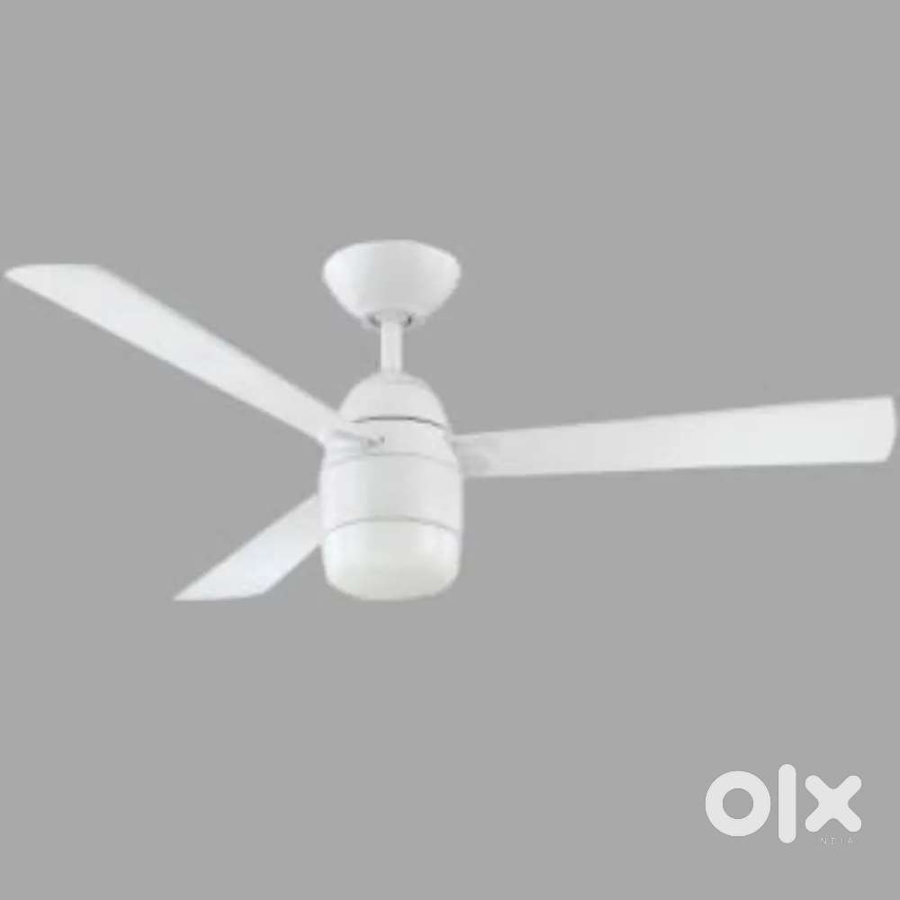 Polycab Aeroglam 6 blade  Ceiling Fan
