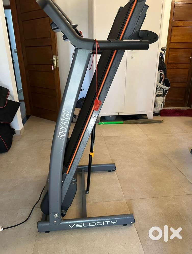 Threadmill cockatoo