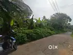 Plot for sale
