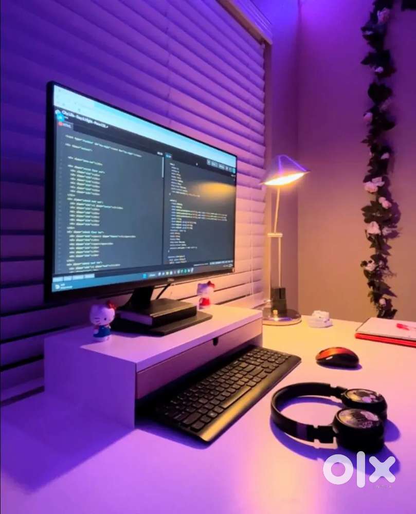 Professional WordPress Developer for Websites & Ecommerce