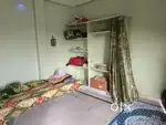 Looking for roommate for pent house