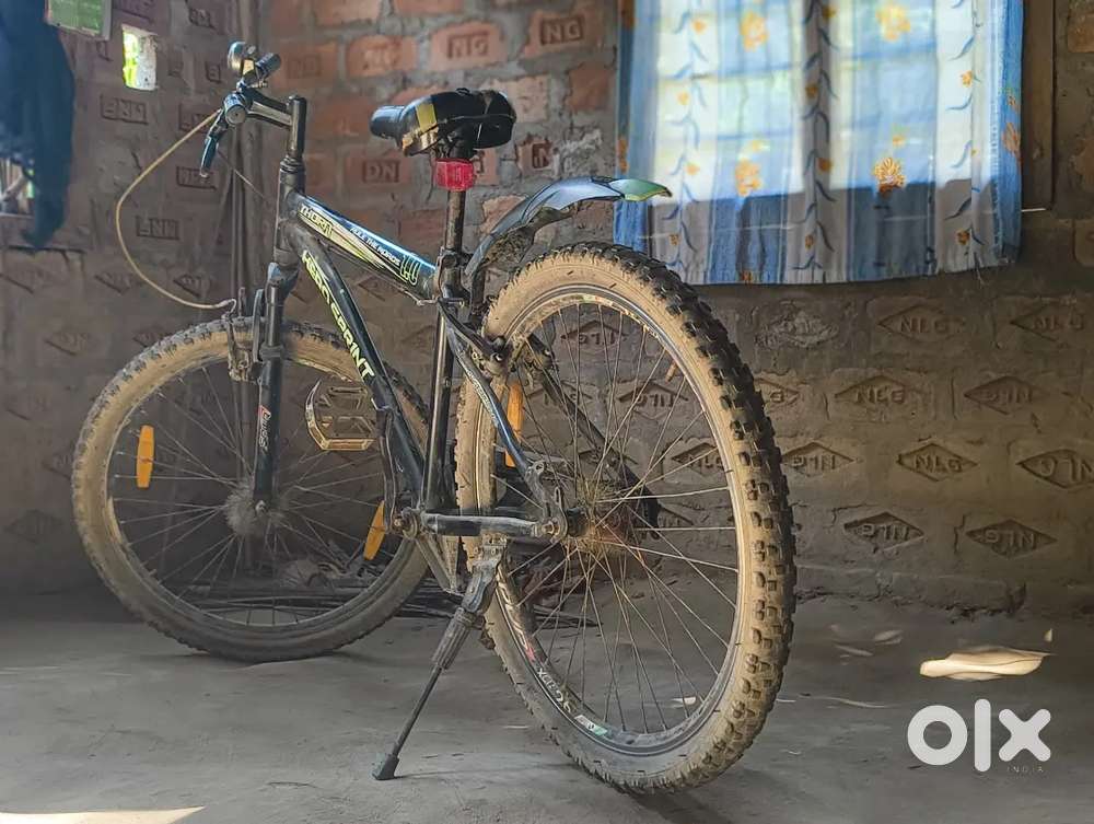 Thorn by cycle