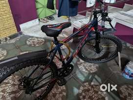 Romos Beast blue colour cycle