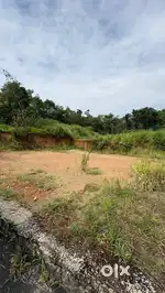കുരീക്കാട് House Plots