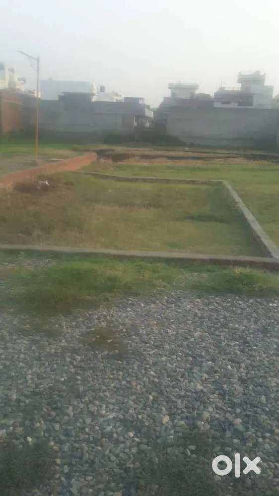 My plot sell 6 marle