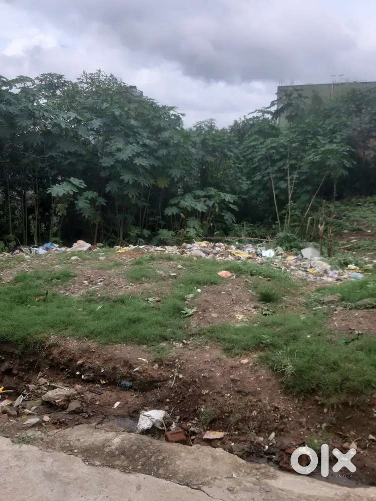 5 katha plot