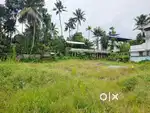 14 Cent Residential plot Thaliyal Kalady Karamana Thiruvananthapuram