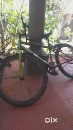 Street cat limited edition