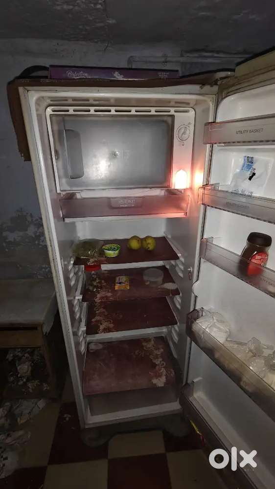 LG 235 L 5 Star Direct-Cool Single Door Refrigerator