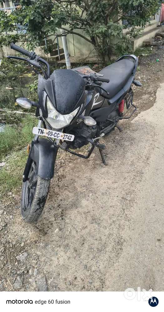 Honda livo