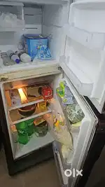 Freeze 245 ltr