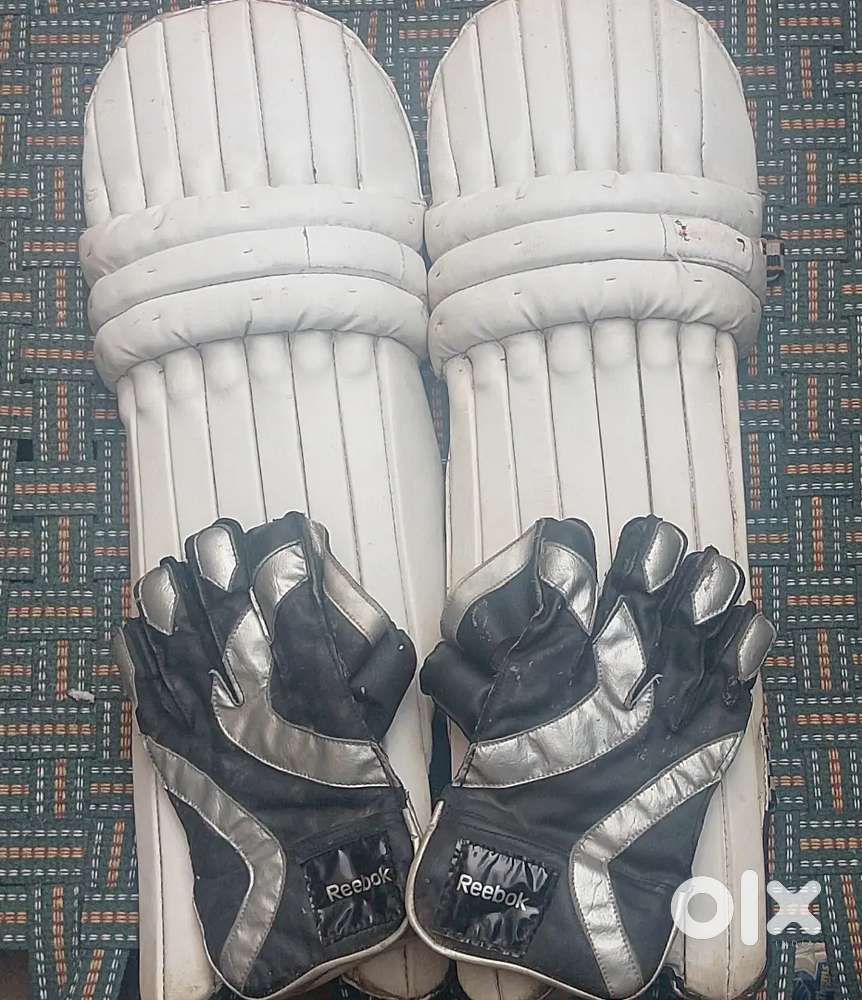 Cricket pads good condition with free wicket keeping gloves