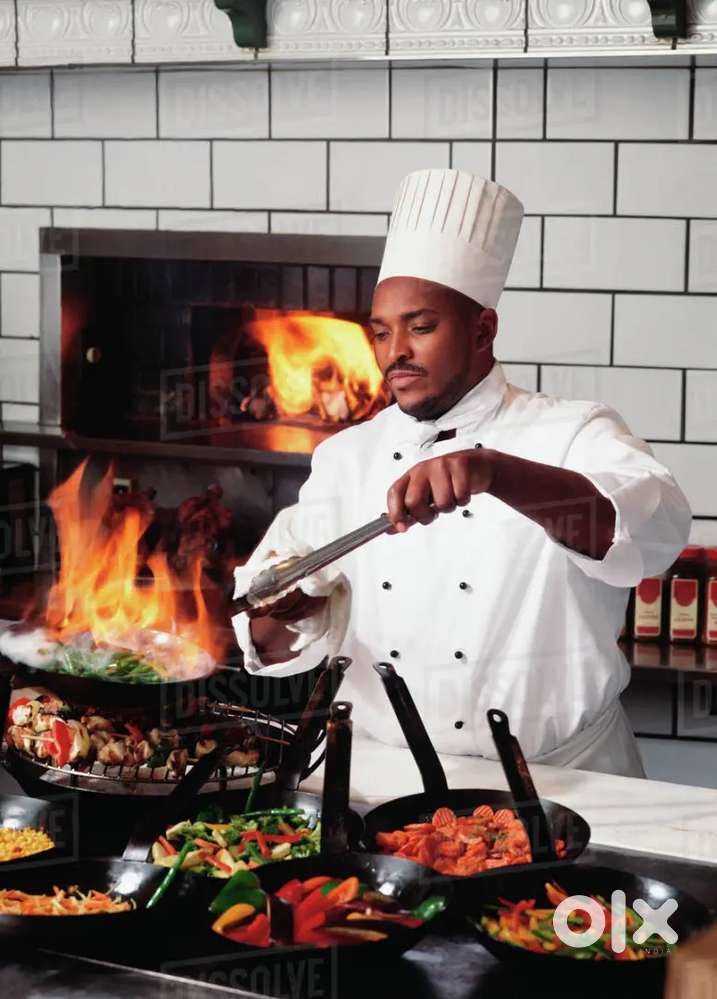 Need Cook for Hotel / Biriyani chef