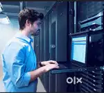 Network Support Executive