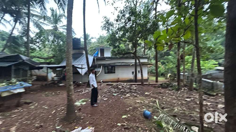 Selling a 8cent plot.Rate negotiable