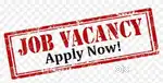 Freshers and experienced need