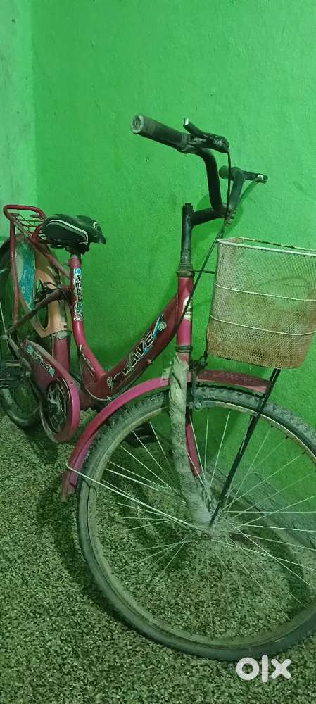 Iadi by cycle for sell