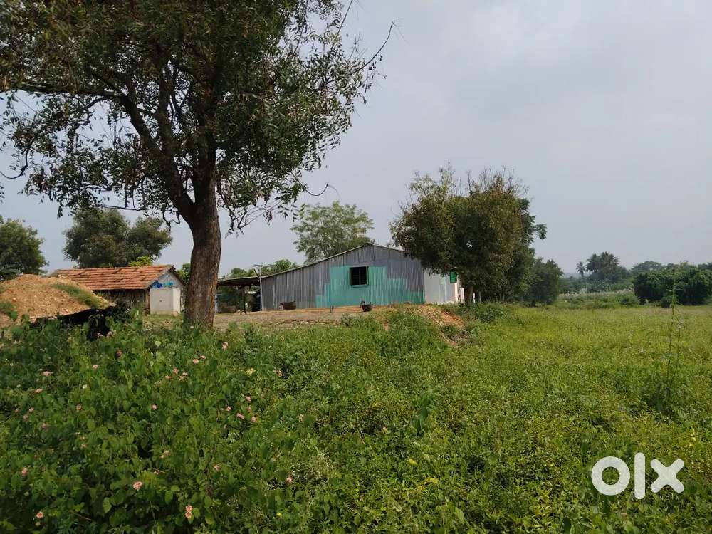 1 ACER AGRI LAND FOR SALE IN NEAR ANNUR