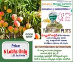 Mango Farm Land Open Plots For Sale Near by Bibinagar
