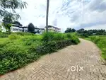 16.5 CENT ORGINAL LAND FOR SALE IN KAKKANAD NEAR KOLLAMKUDIMUGAL
