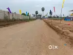 HMDA Open Plots