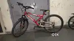Suncross cycle