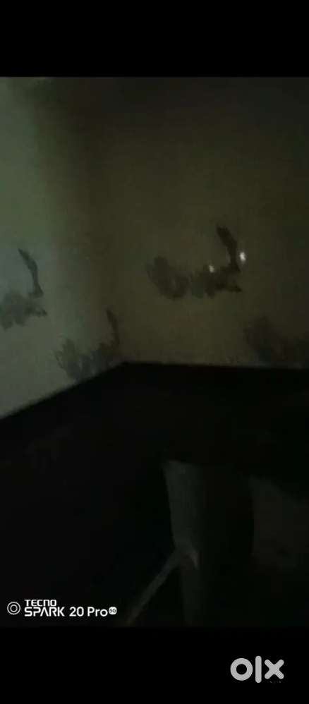 1 bhk flat we'll done  condition